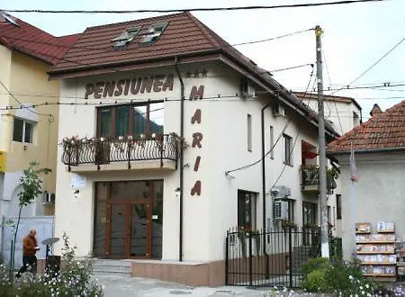Pensiunea Maria Pensjonat Călimăneşti
